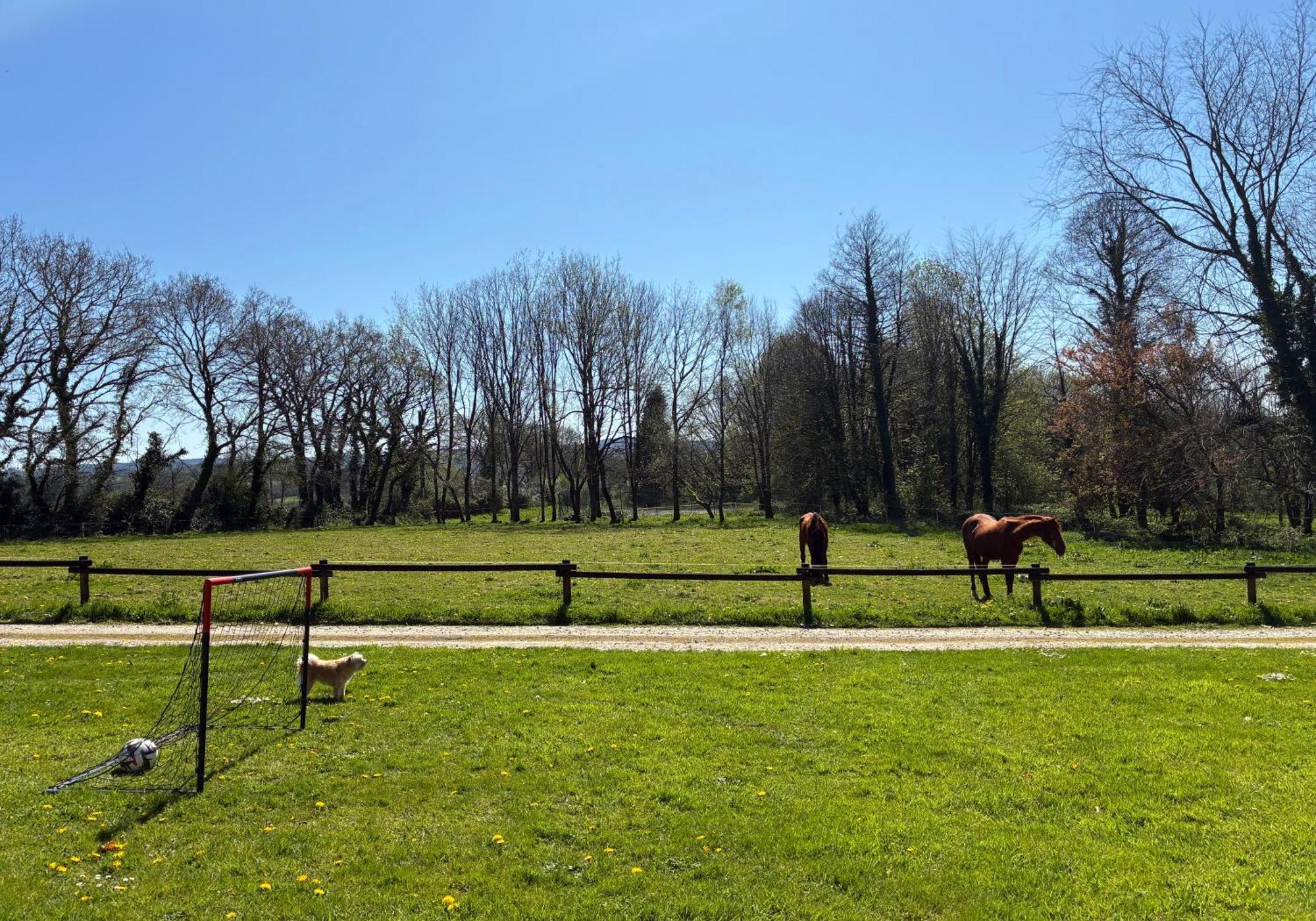 Gite Milin A Sizun Hebergement Confortable Pour 7 Pers Esterno foto